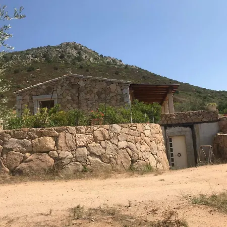 Osseddu 2 أولبيا